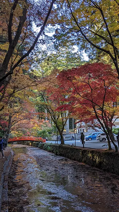 紅葉