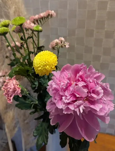 芍薬